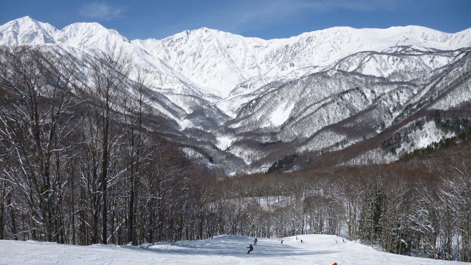 從白馬岩岳雪場的雪道眺望冬季的白馬三山