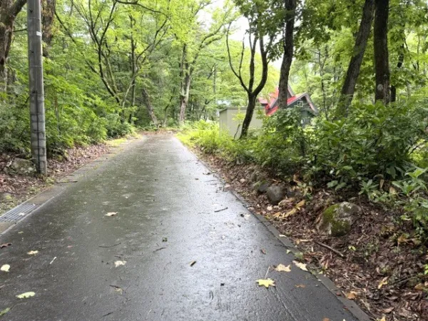 전면 도로