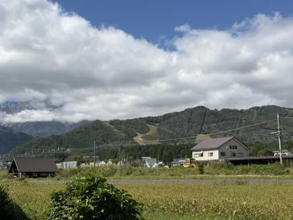 전망