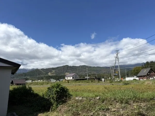 전망